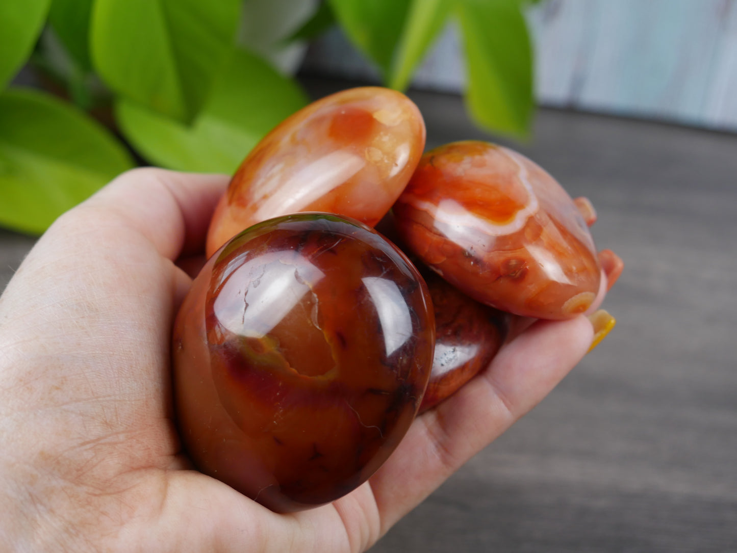 Carnelian Palm Stone [various]