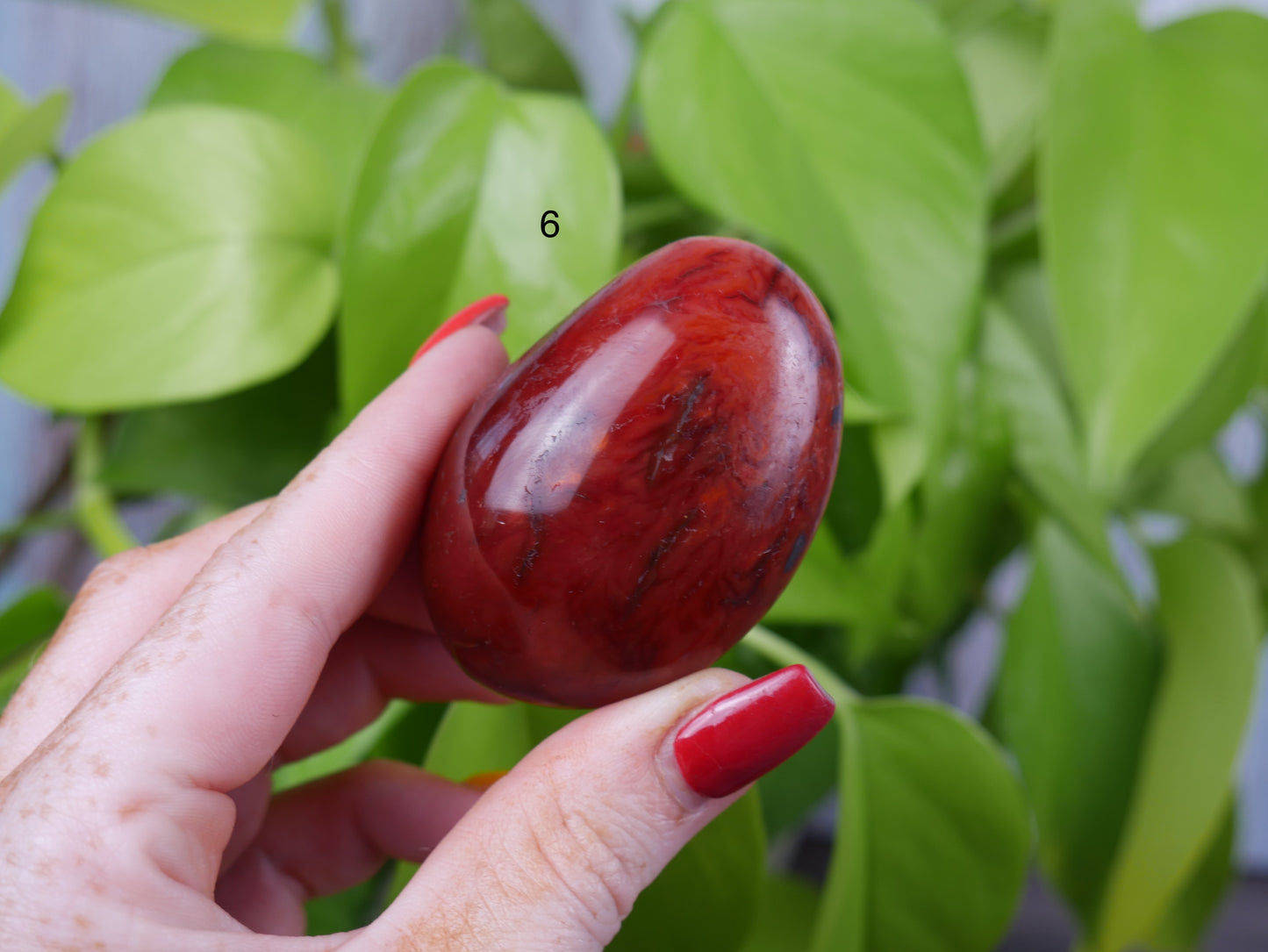 Carnelian Palm Stone [various]