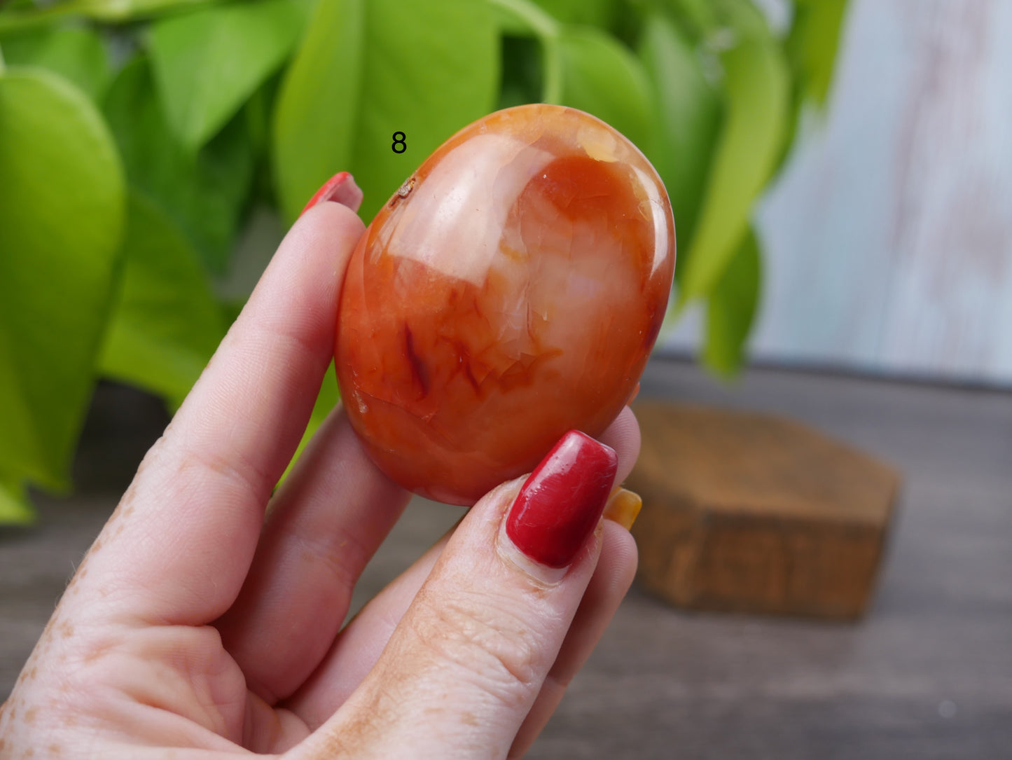 Carnelian Palm Stone [various]