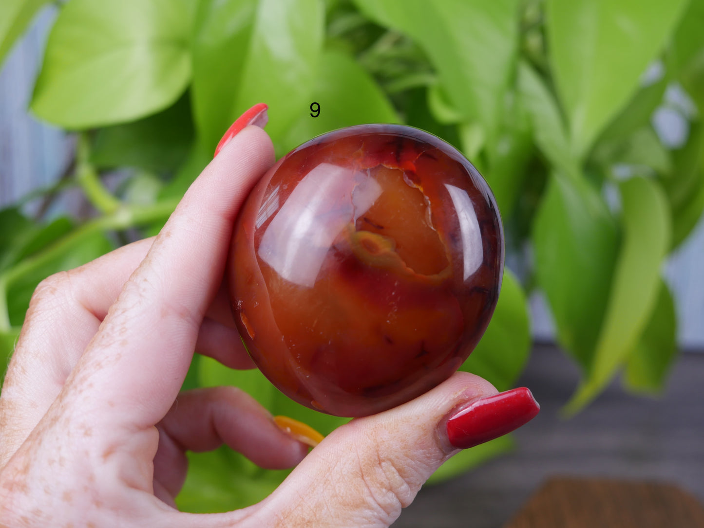 Carnelian Palm Stone [various]