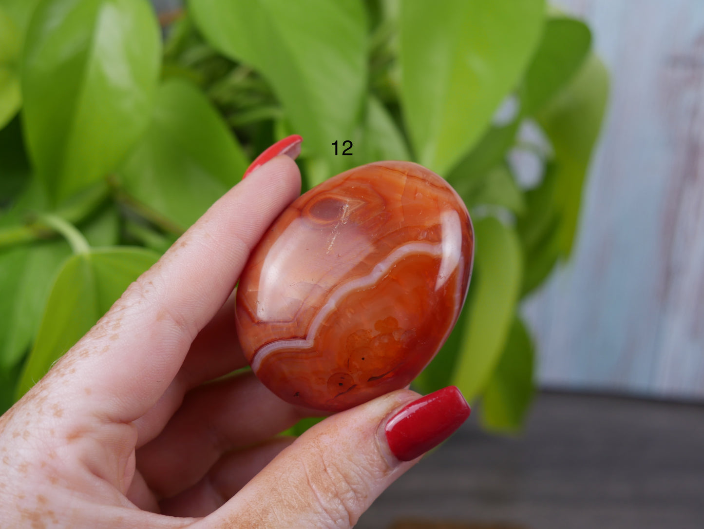 Carnelian Palm Stone [various]