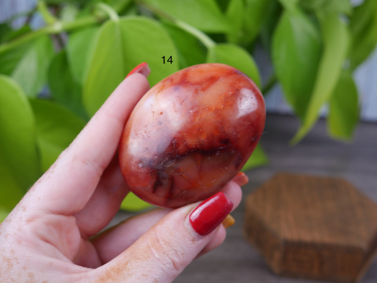 Carnelian Palm Stone [various]