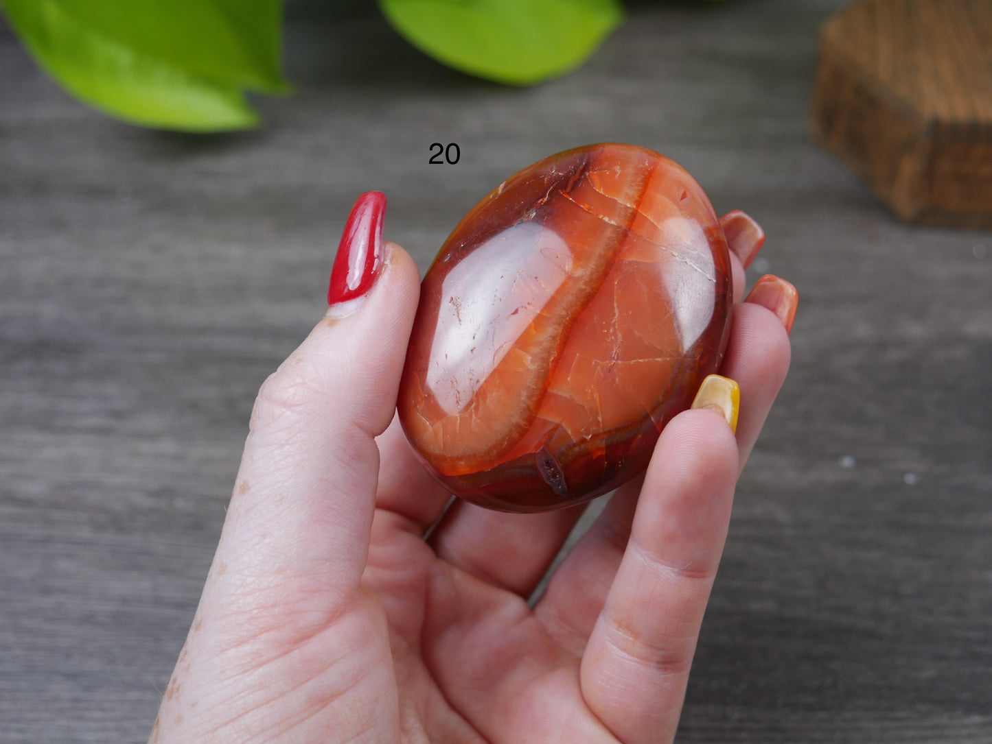 Carnelian Palm Stone [various]