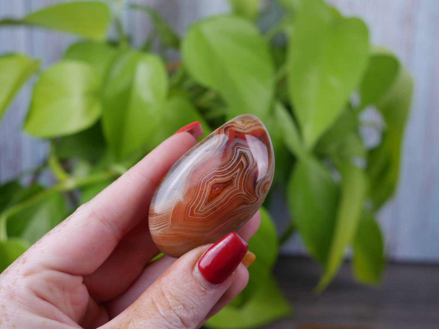 Sardonyx Palm Stone #3