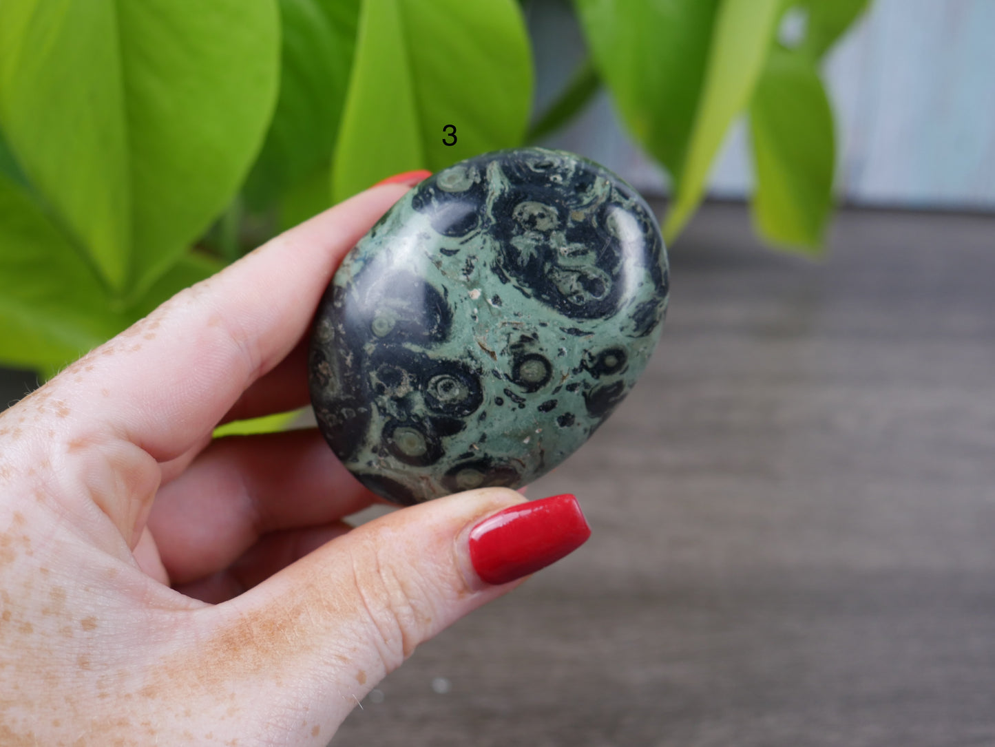 Kambaba Jasper Palm Stone [various]