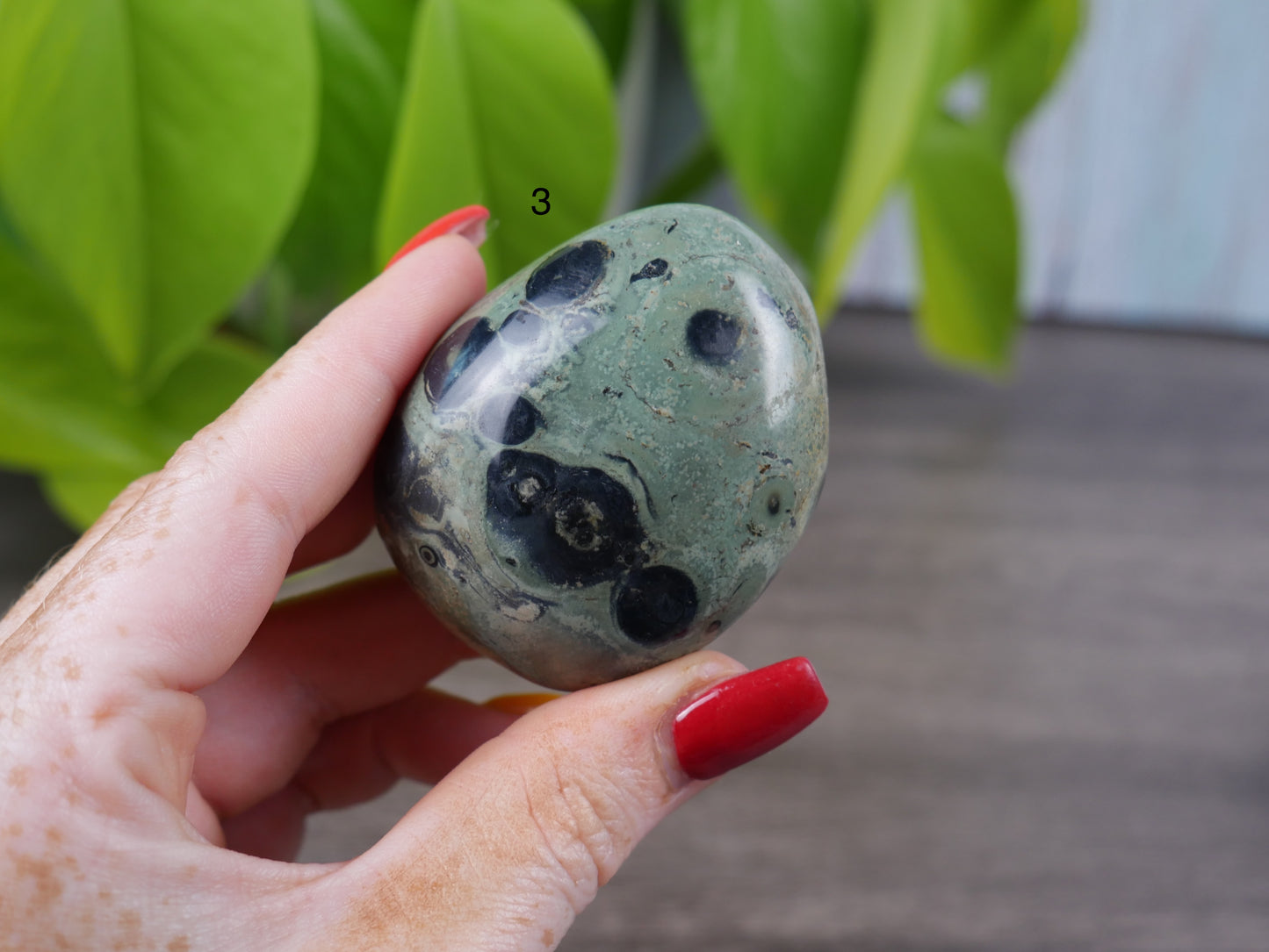 Kambaba Jasper Palm Stone [various]