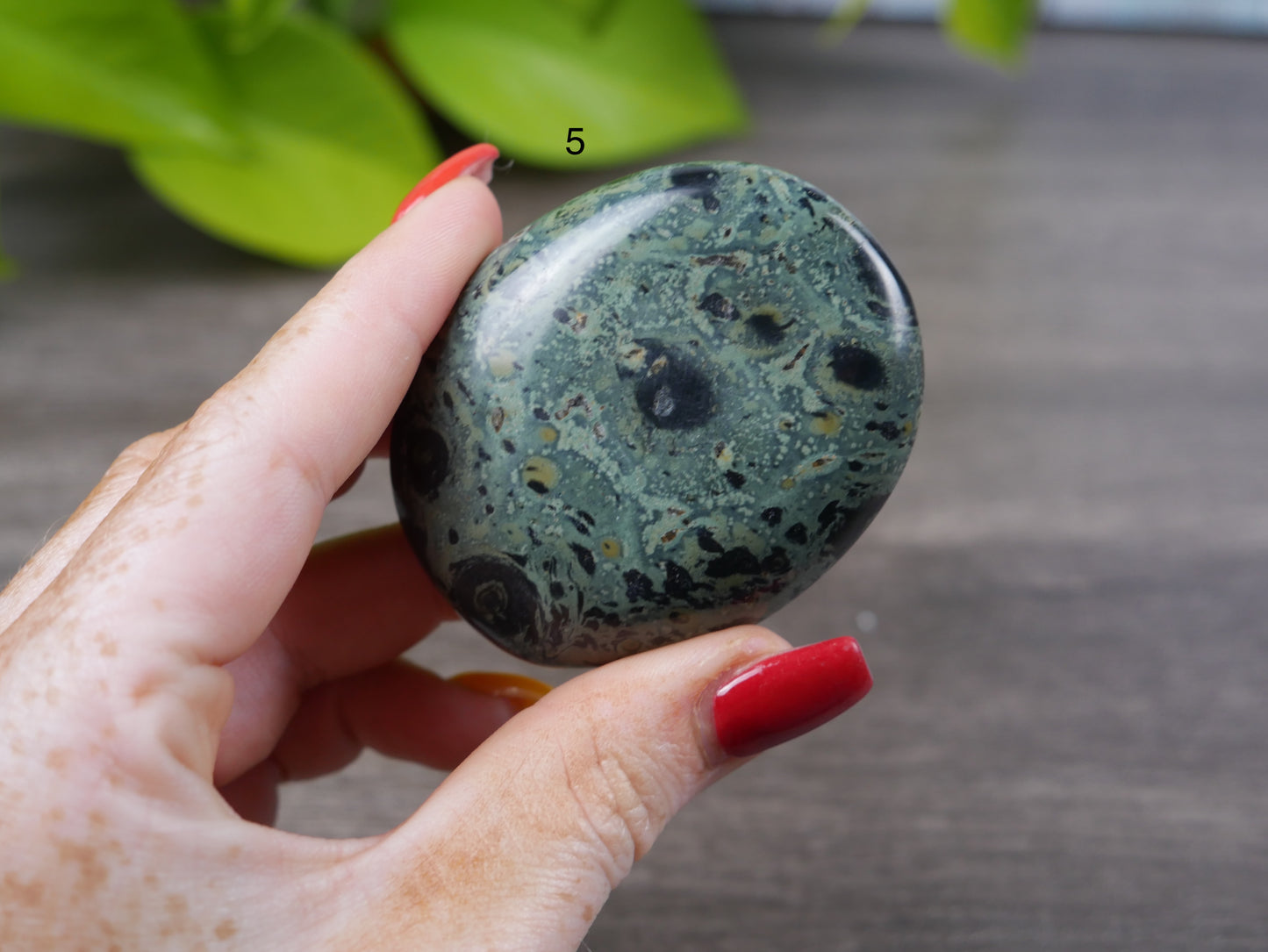 Kambaba Jasper Palm Stone [various]