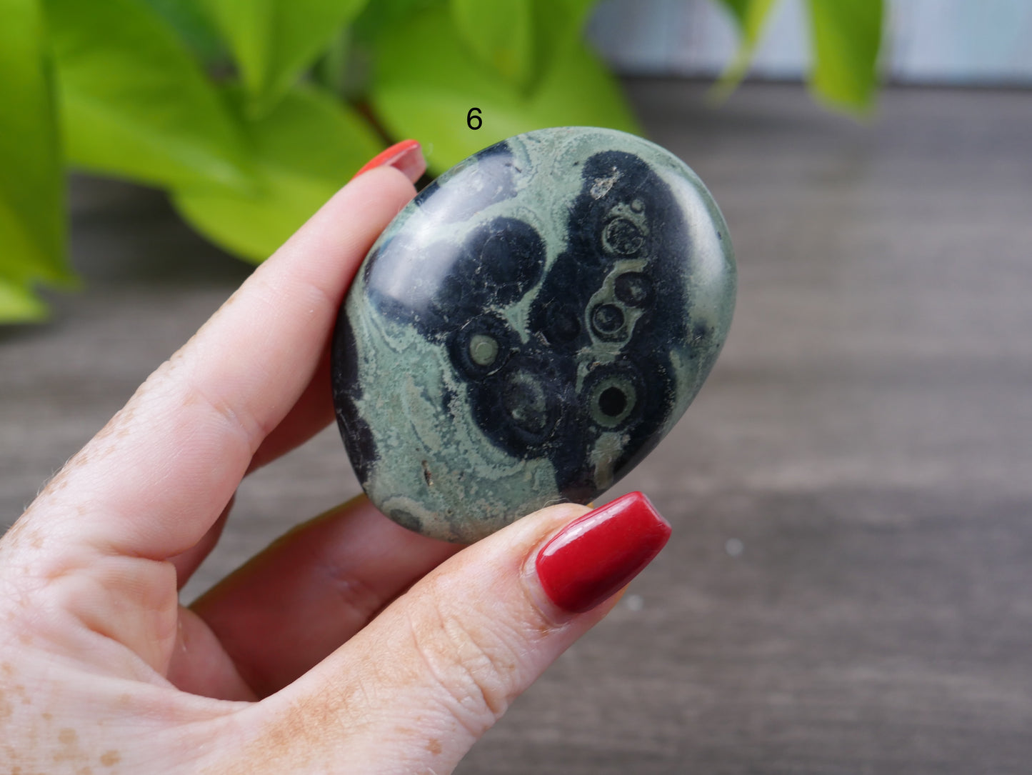 Kambaba Jasper Palm Stone [various]