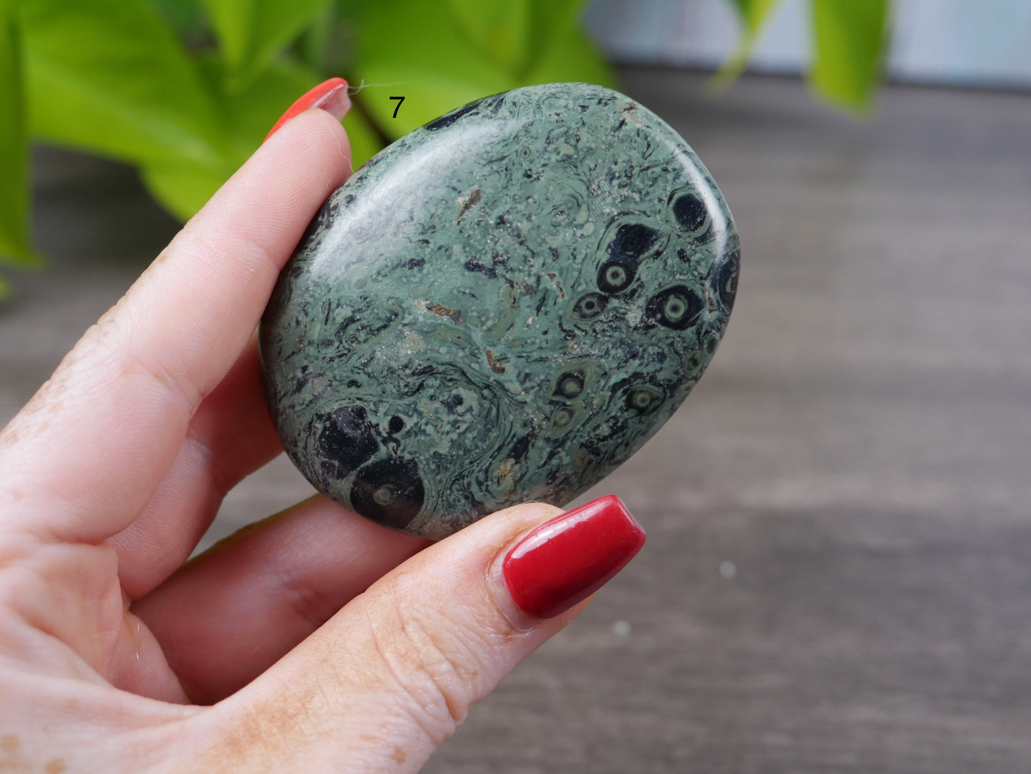 Kambaba Jasper Palm Stone [various]