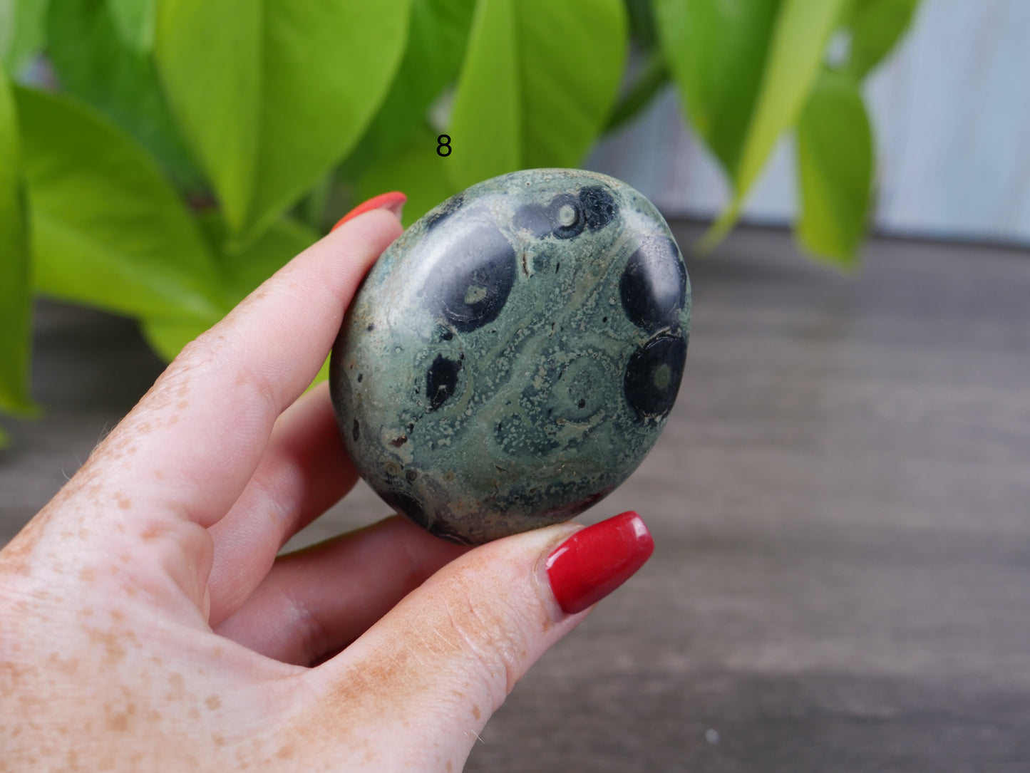 Kambaba Jasper Palm Stone [various]