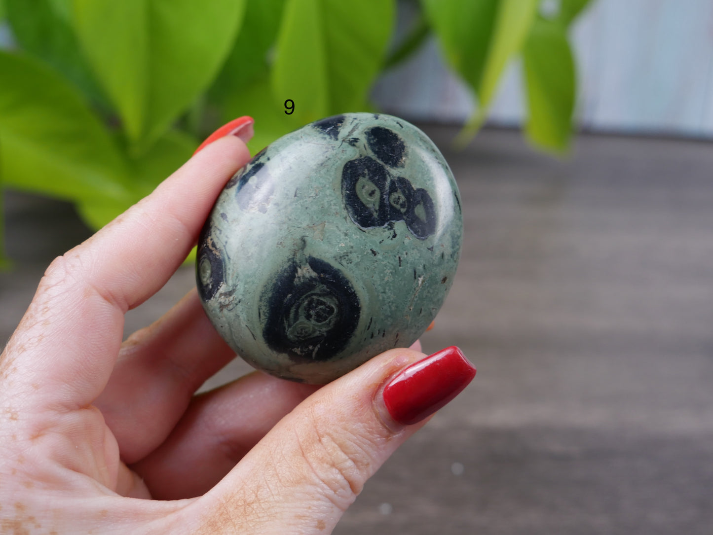 Kambaba Jasper Palm Stone [various]