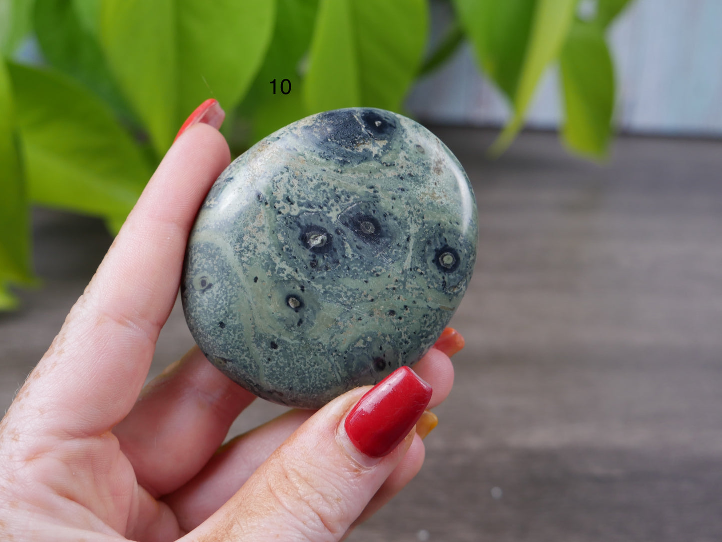 Kambaba Jasper Palm Stone [various]