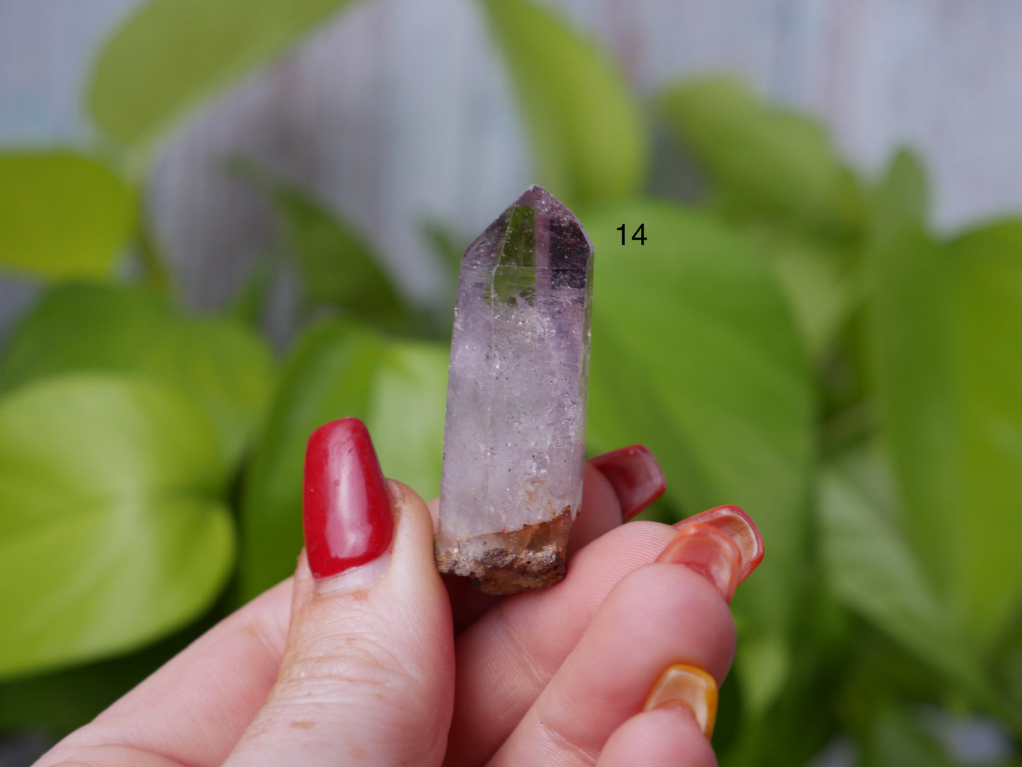 Shangaan Amethyst [various]