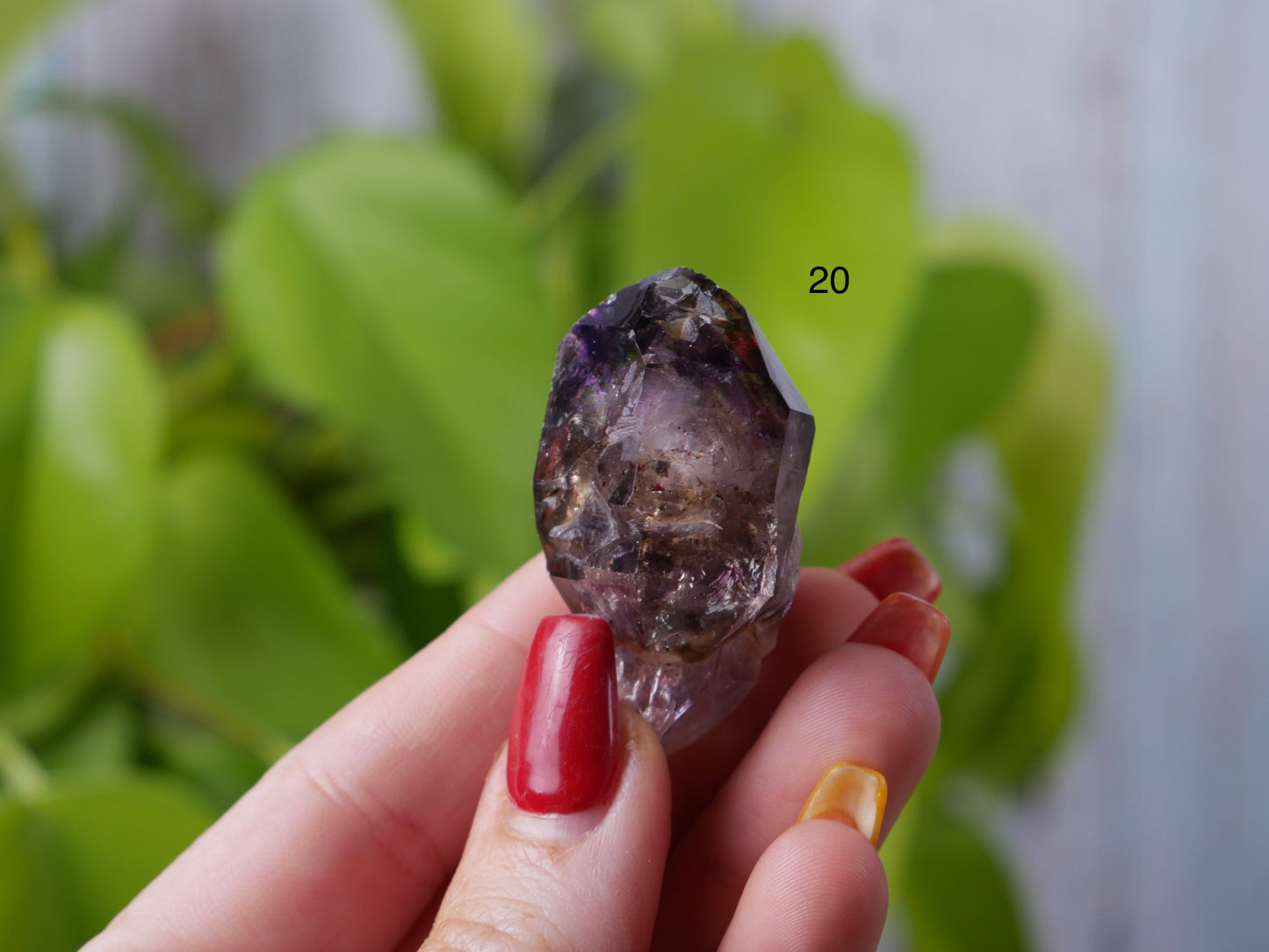 Shangaan Amethyst [various]