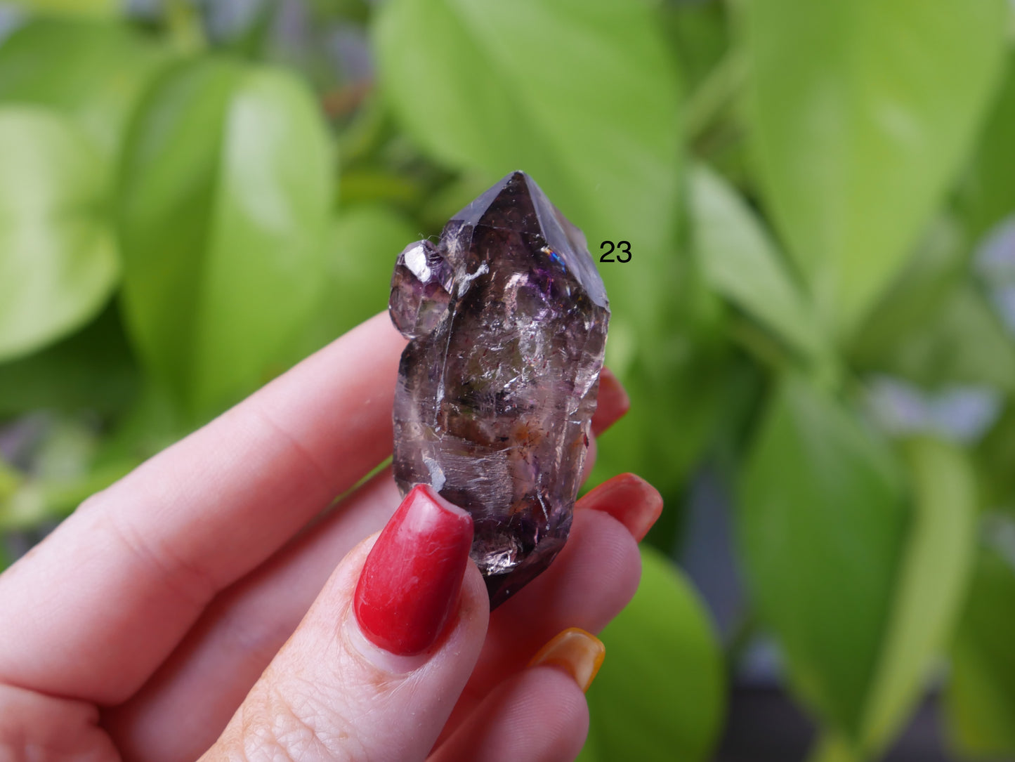 Shangaan Amethyst [various]