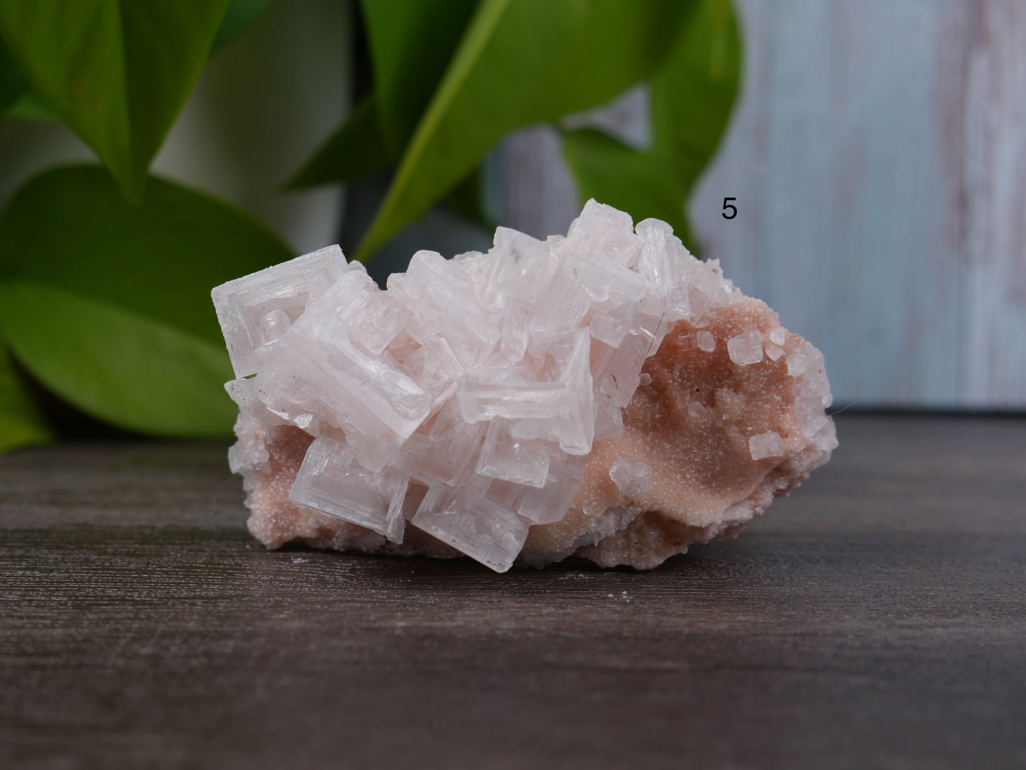 Pink Halite [various]