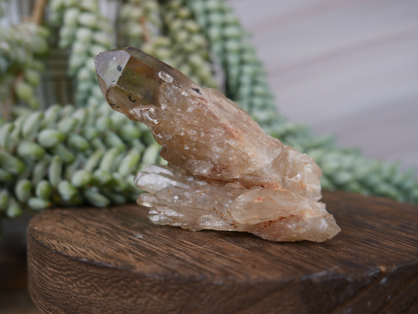 Kundalini Citrine #21