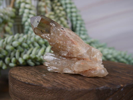 Kundalini Citrine #21