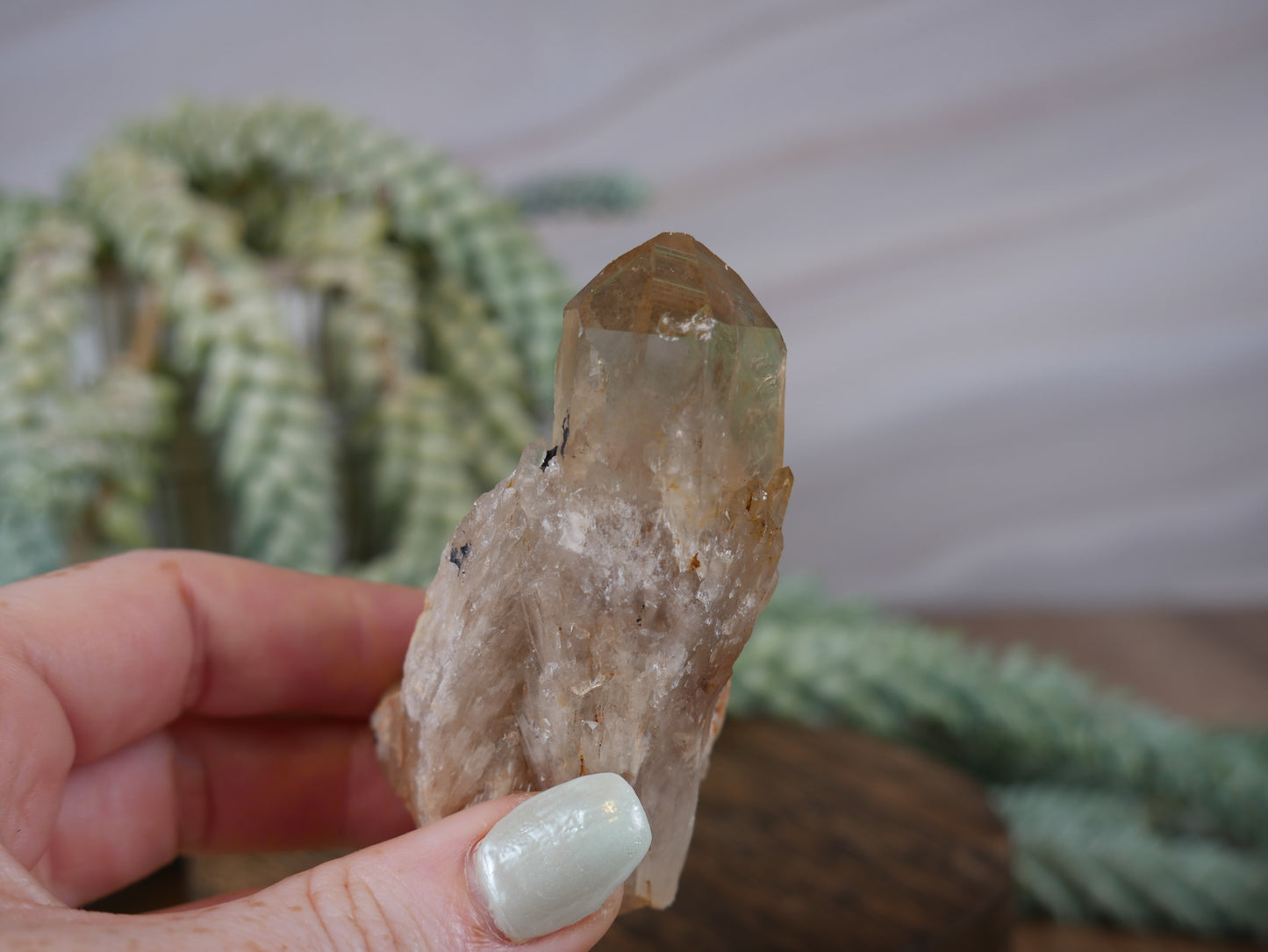 Kundalini Citrine #23