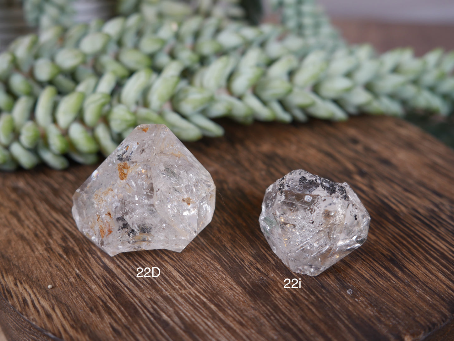 Herkimer Diamond [22's]