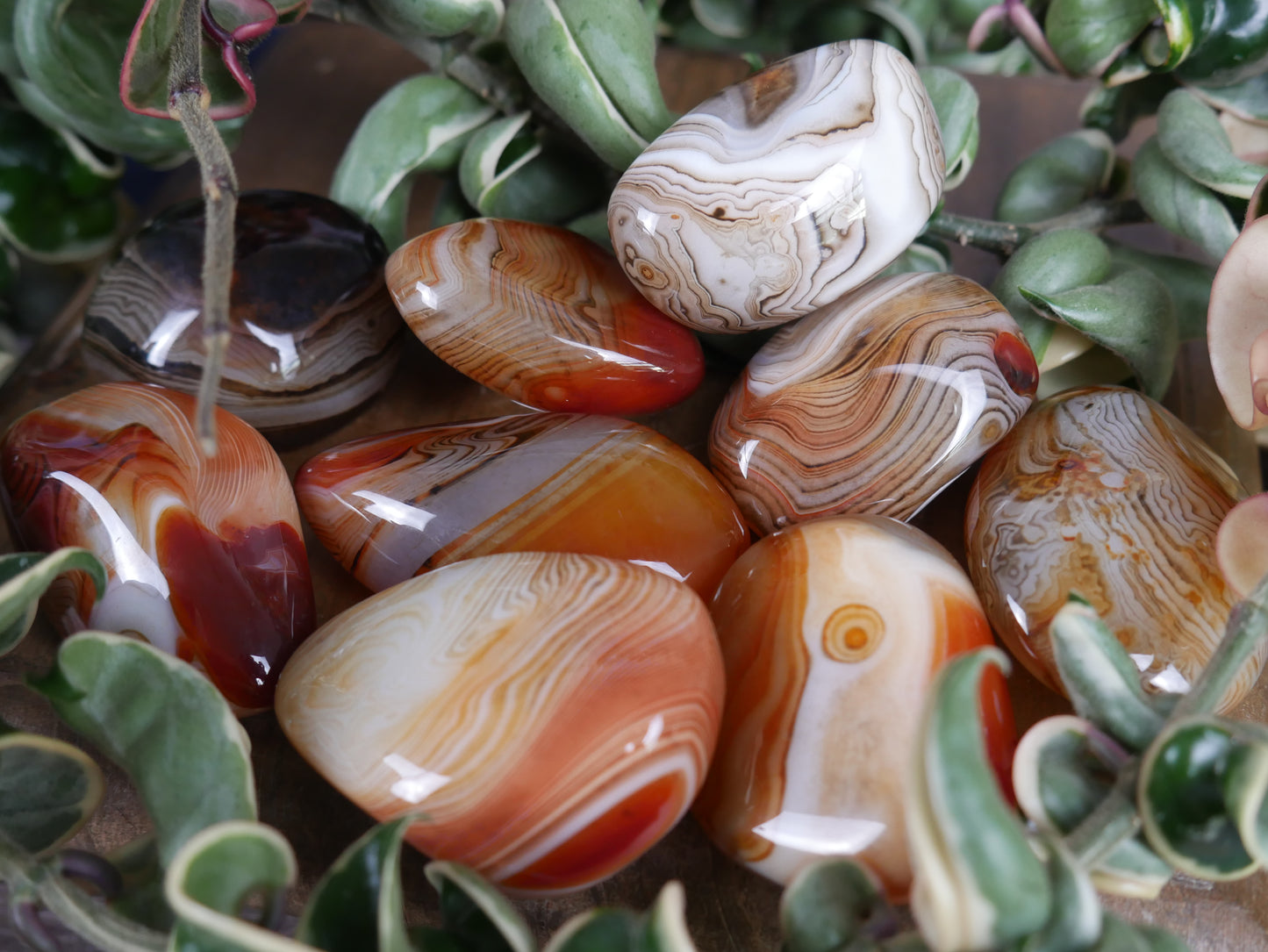 Sardonyx Palm Stone [various]