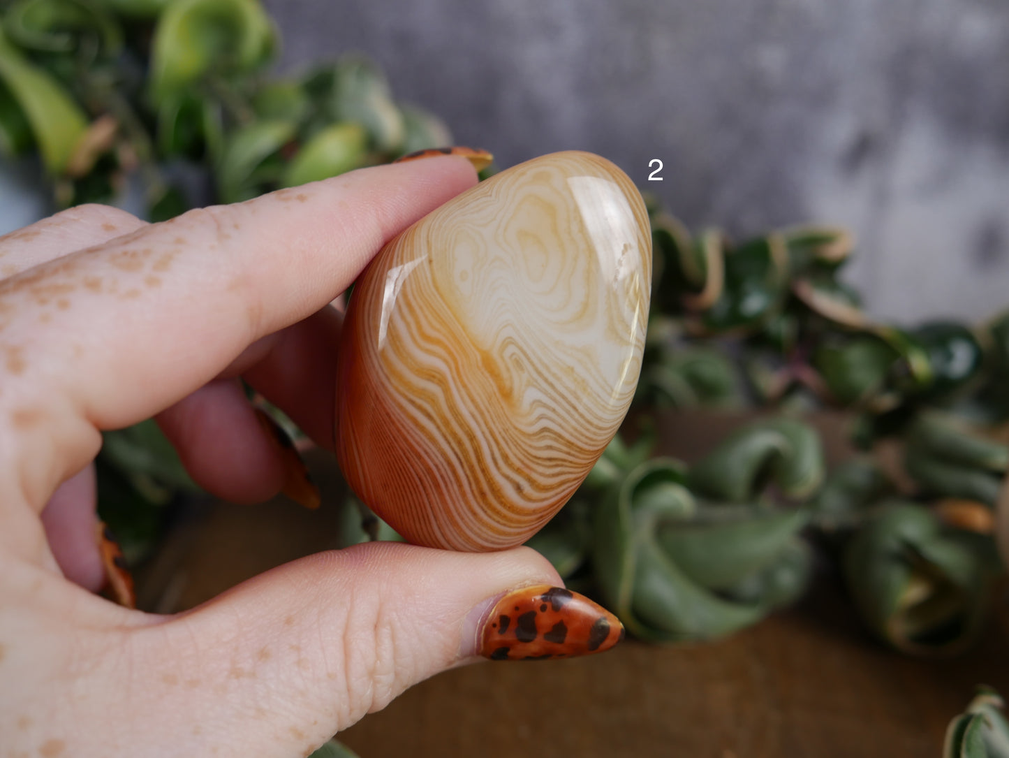 Sardonyx Palm Stone [various]