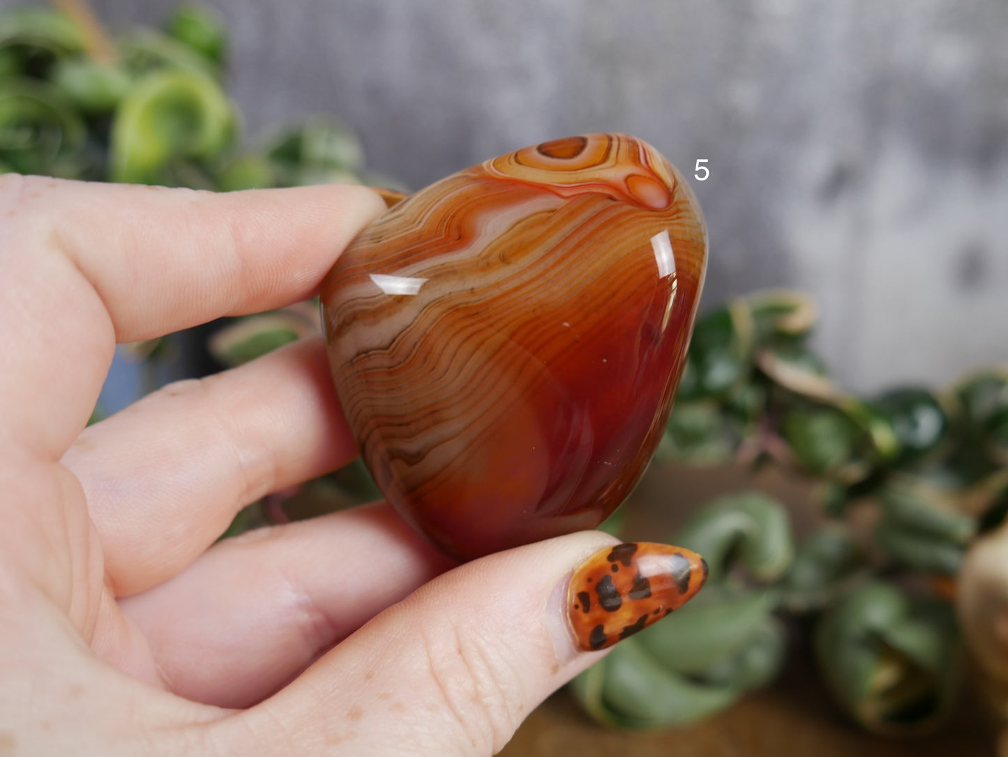 Sardonyx Palm Stone [various]