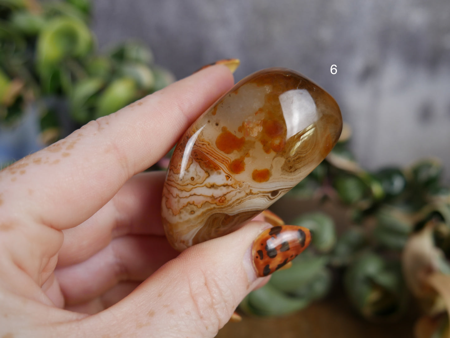 Sardonyx Palm Stone [various]