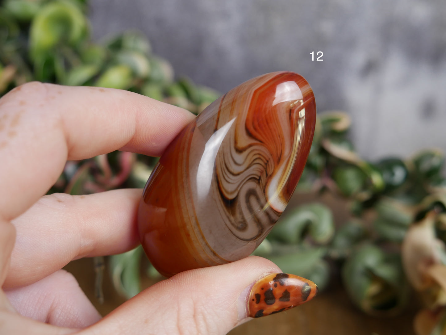 Sardonyx Palm Stone [various]