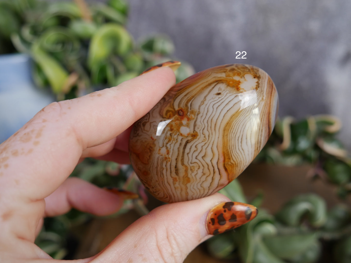 Sardonyx Palm Stone [various]