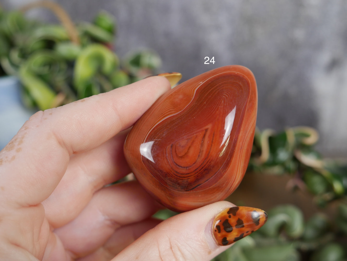 Sardonyx Palm Stone [various]