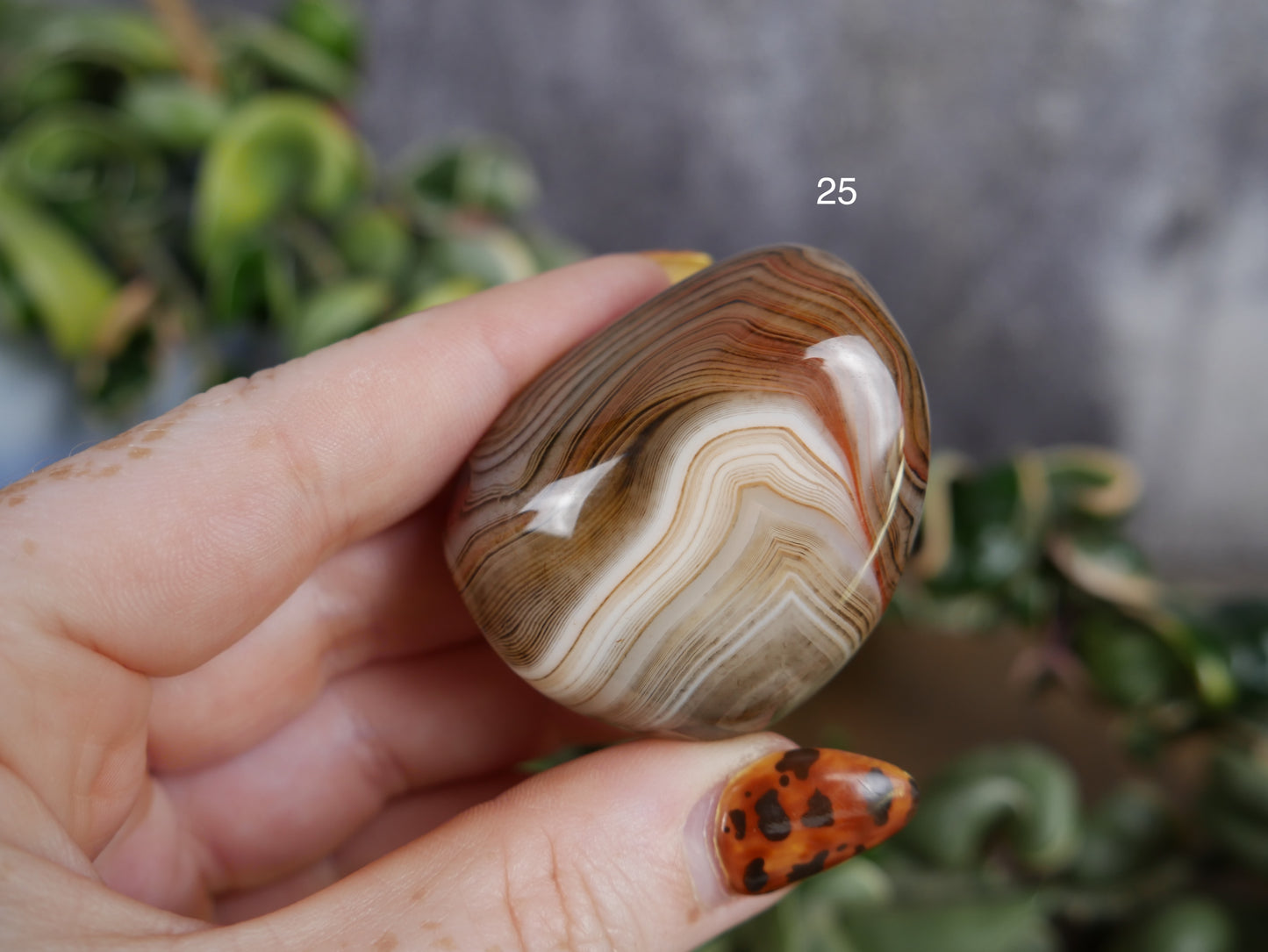 Sardonyx Palm Stone [various]