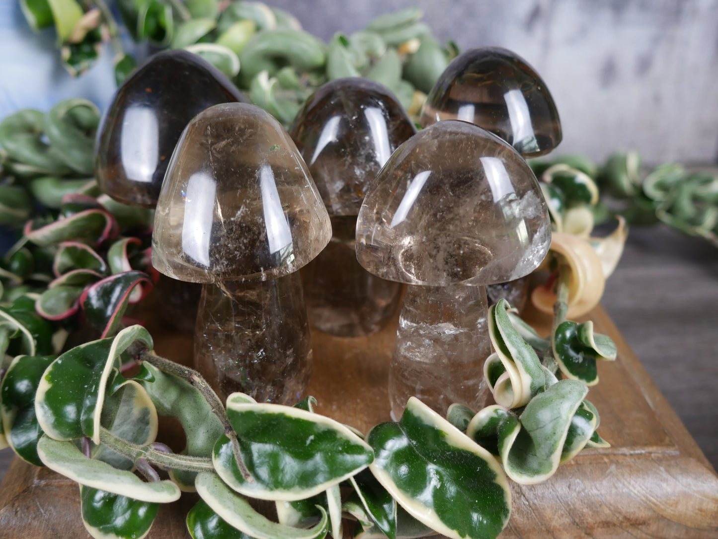 Brazilian Smokey Quartz Mushroom [various]