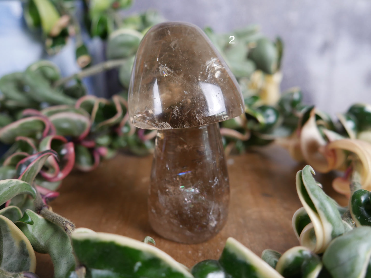 Brazilian Smokey Quartz Mushroom [various]