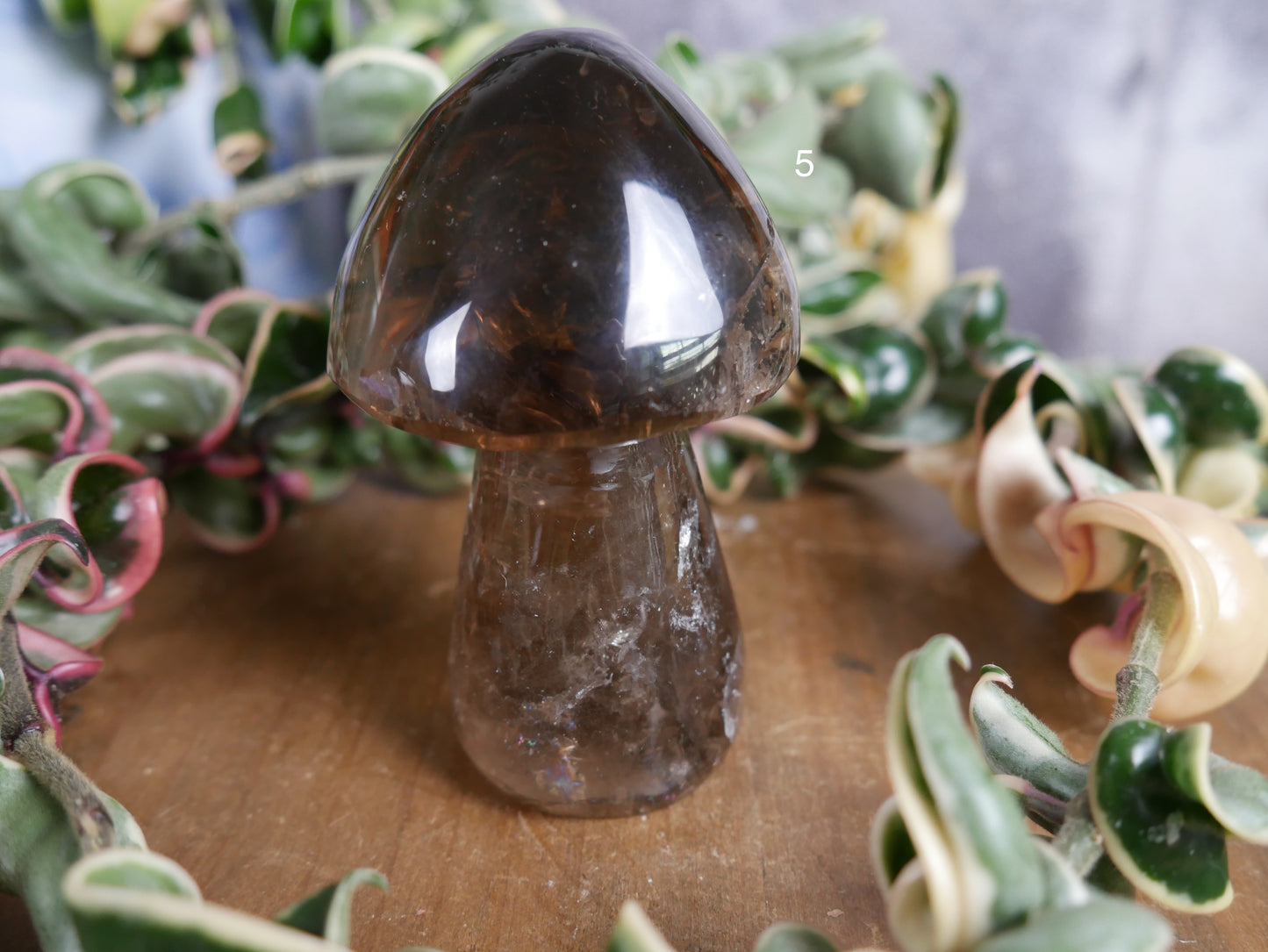 Brazilian Smokey Quartz Mushroom [various]