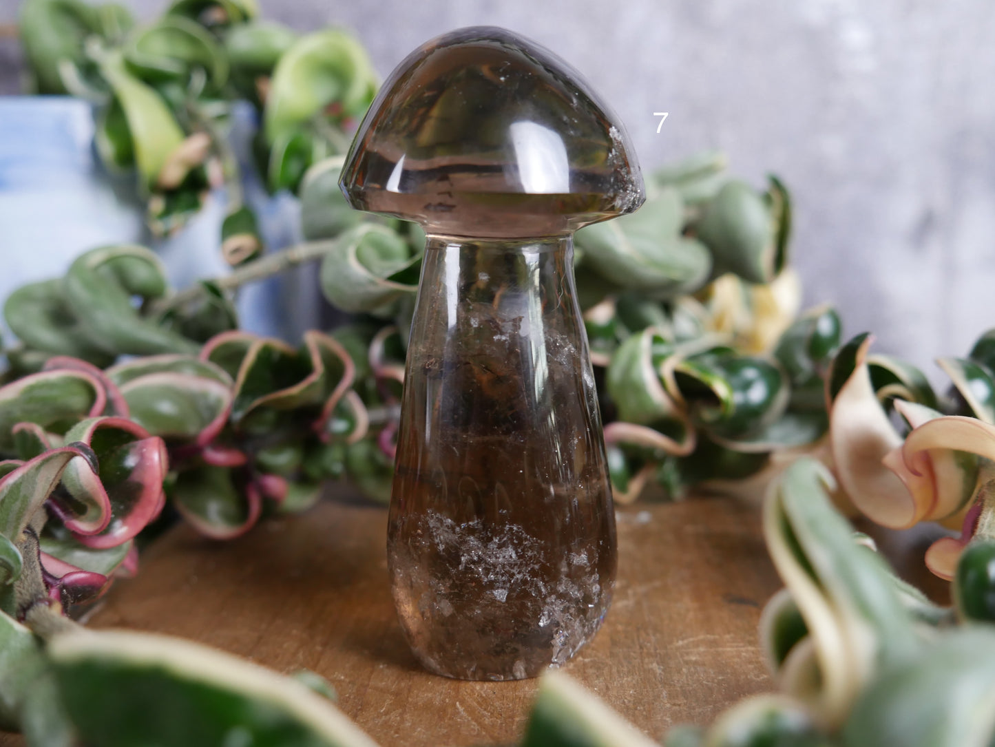 Brazilian Smokey Quartz Mushroom [various]