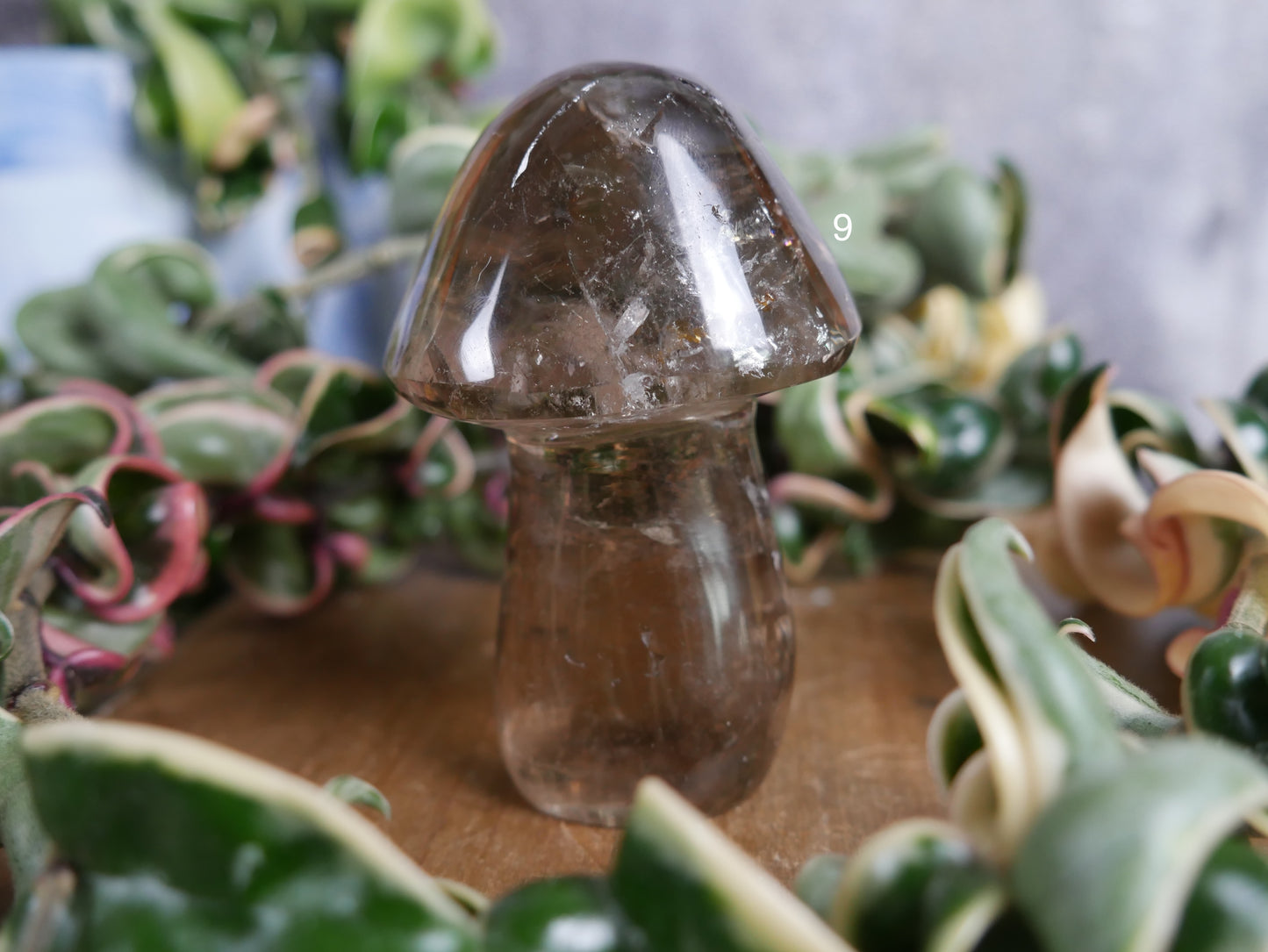 Brazilian Smokey Quartz Mushroom [various]