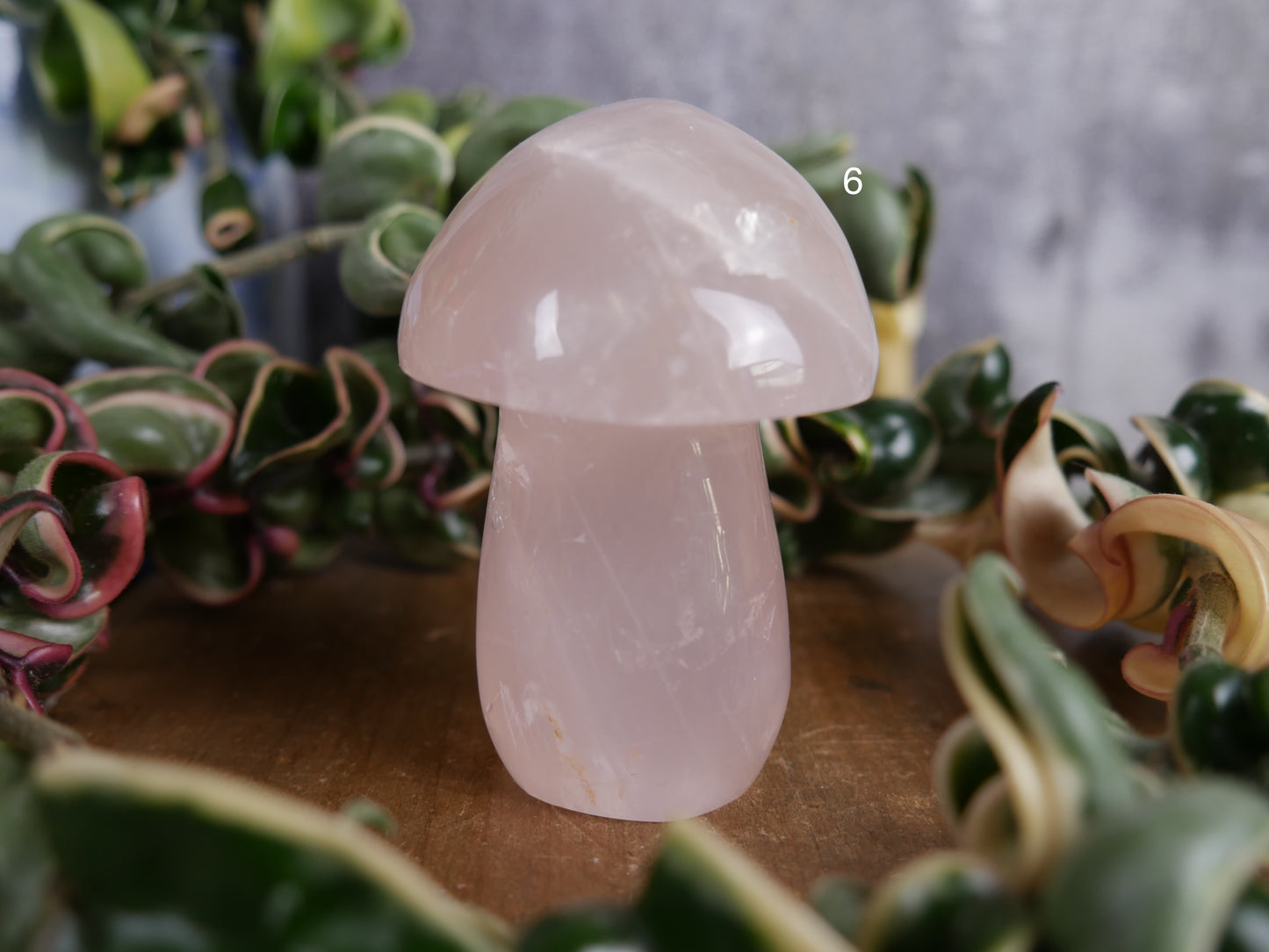 Brazilian Rose Quartz Mushroom [various]