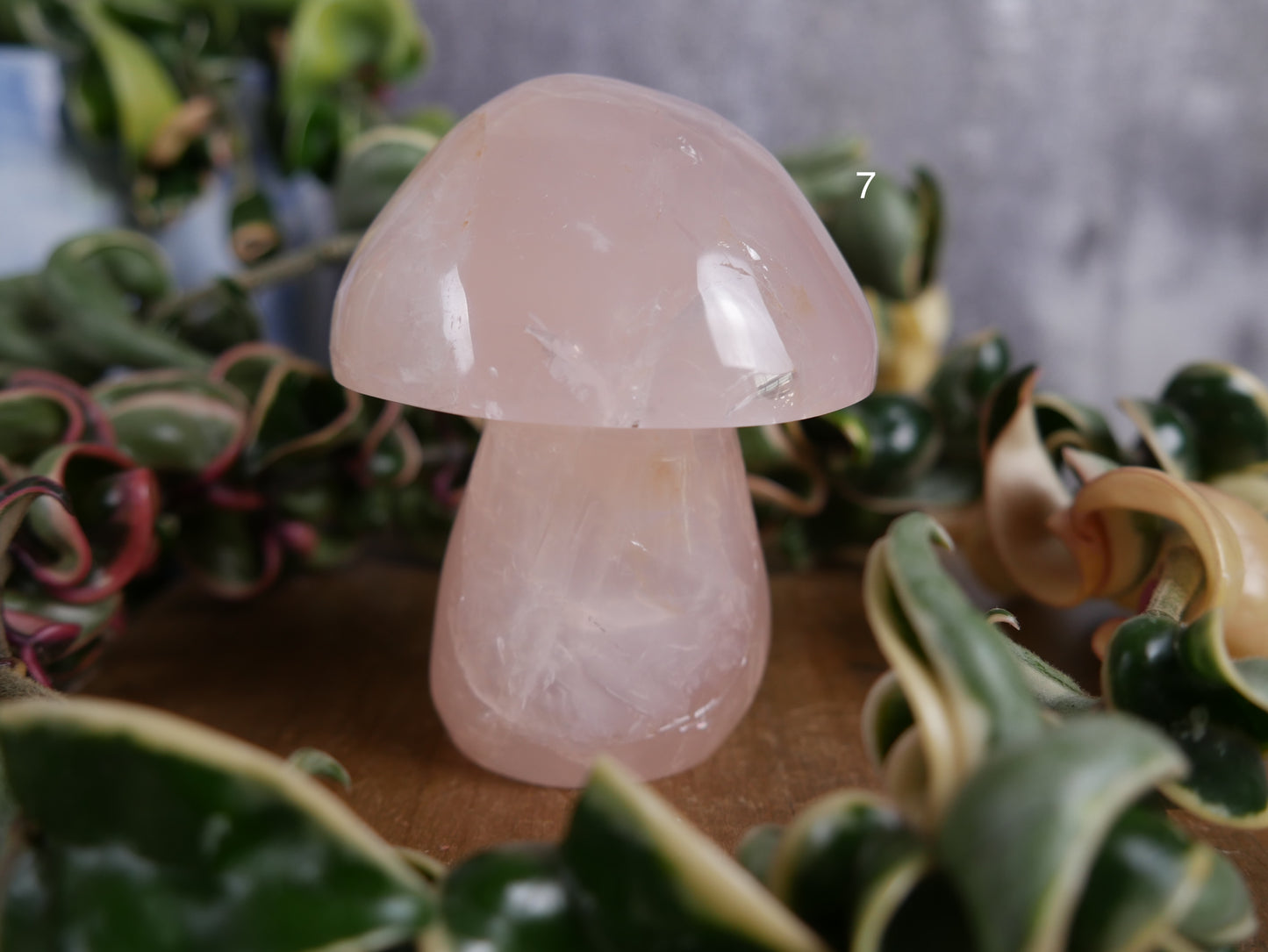 Brazilian Rose Quartz Mushroom [various]