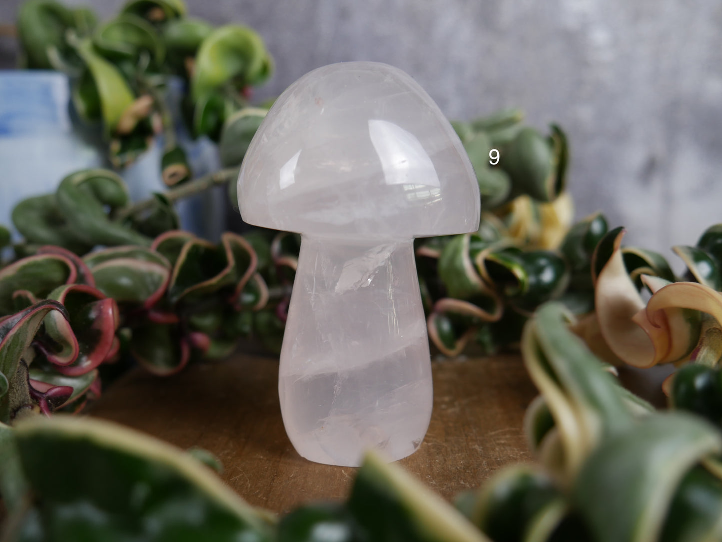 Brazilian Rose Quartz Mushroom [various]