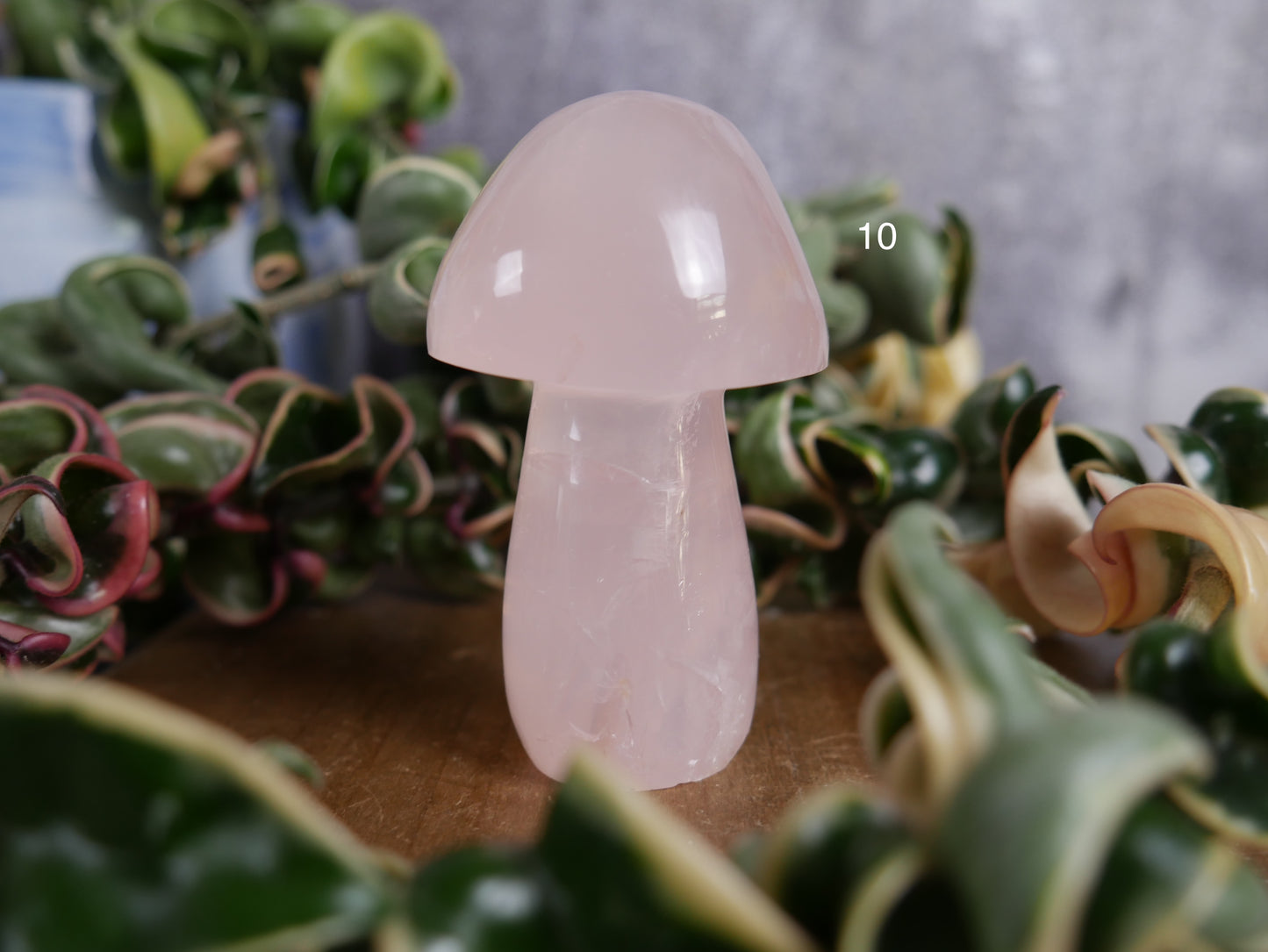 Brazilian Rose Quartz Mushroom [various]