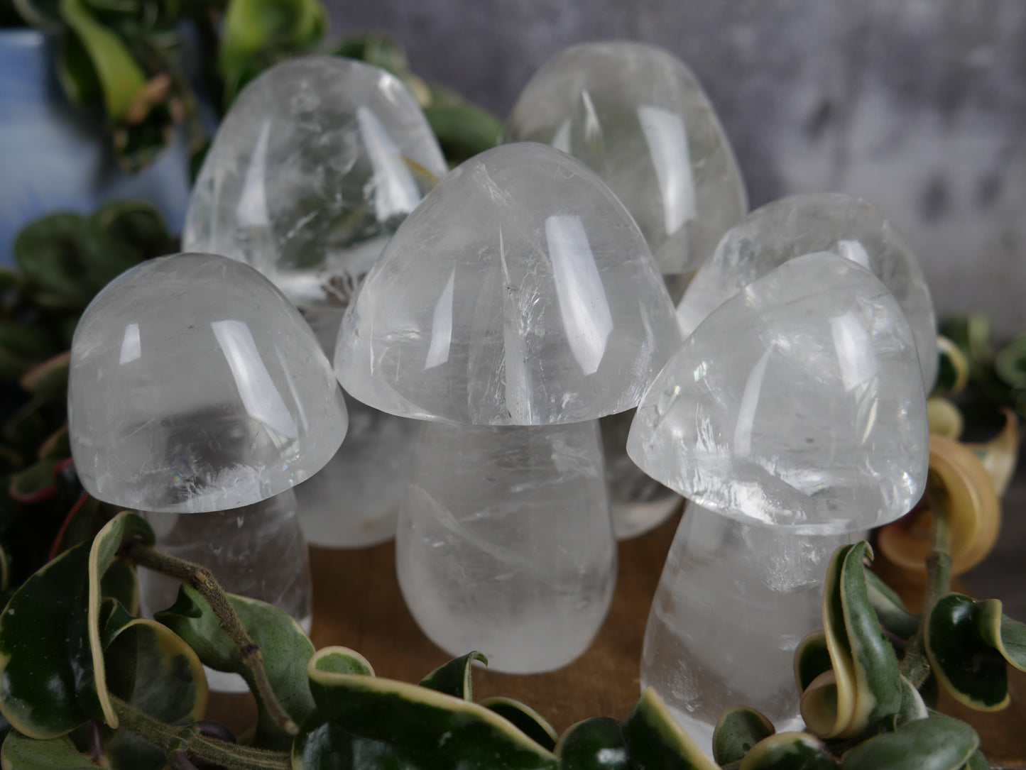 Brazilian Clear Quartz Mushroom [various]