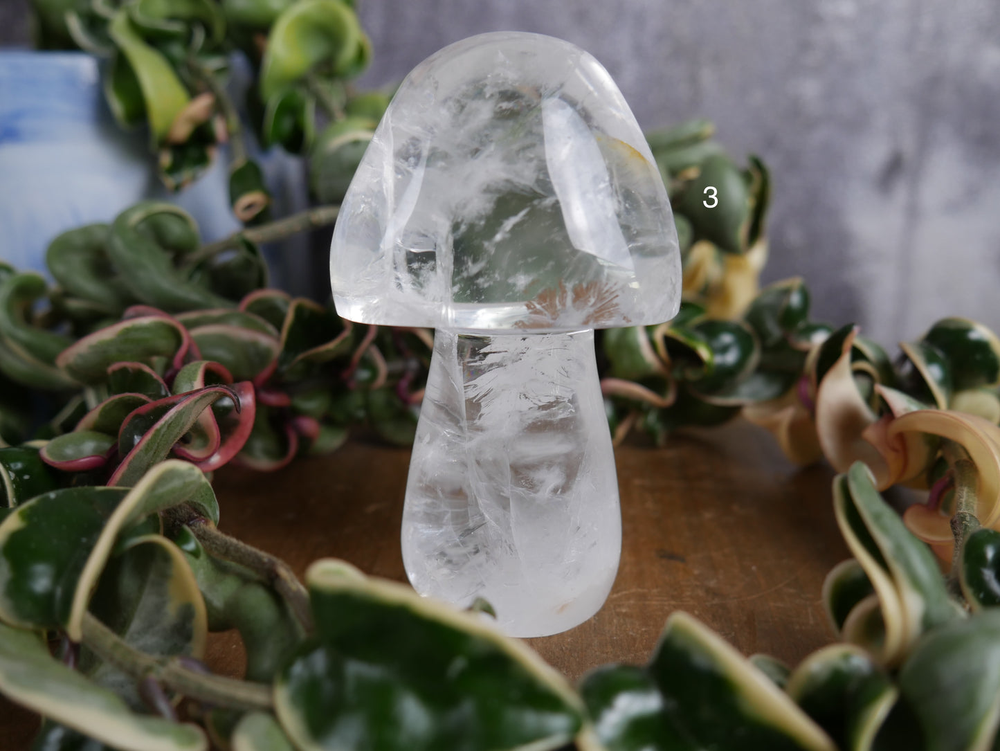 Brazilian Clear Quartz Mushroom [various]