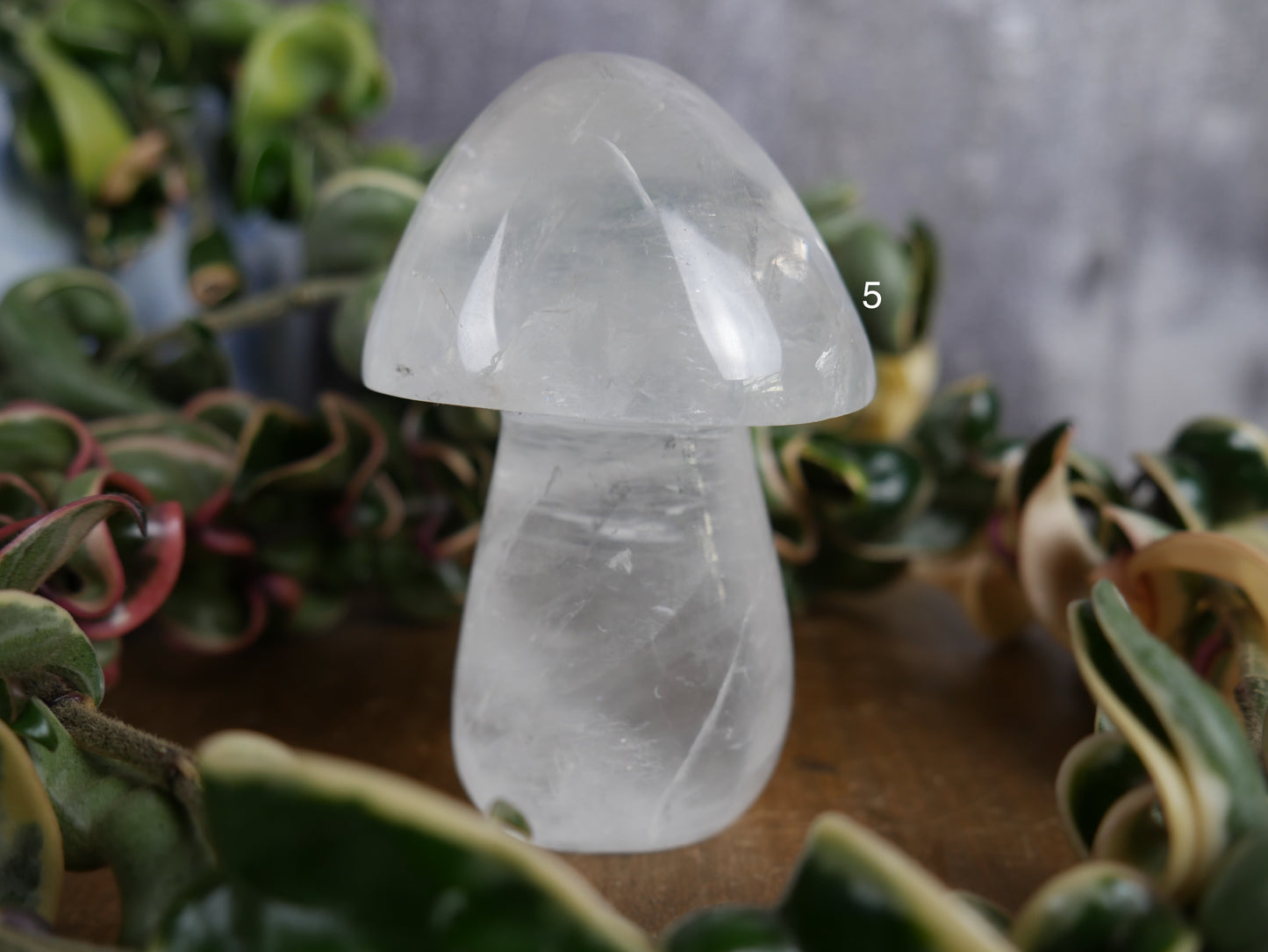 Brazilian Clear Quartz Mushroom [various]