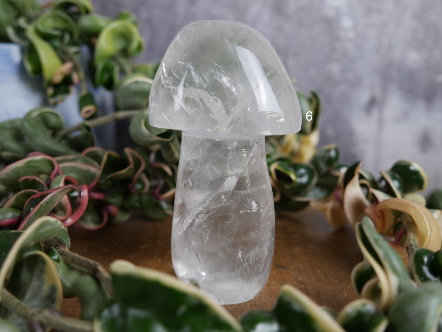 Brazilian Clear Quartz Mushroom [various]