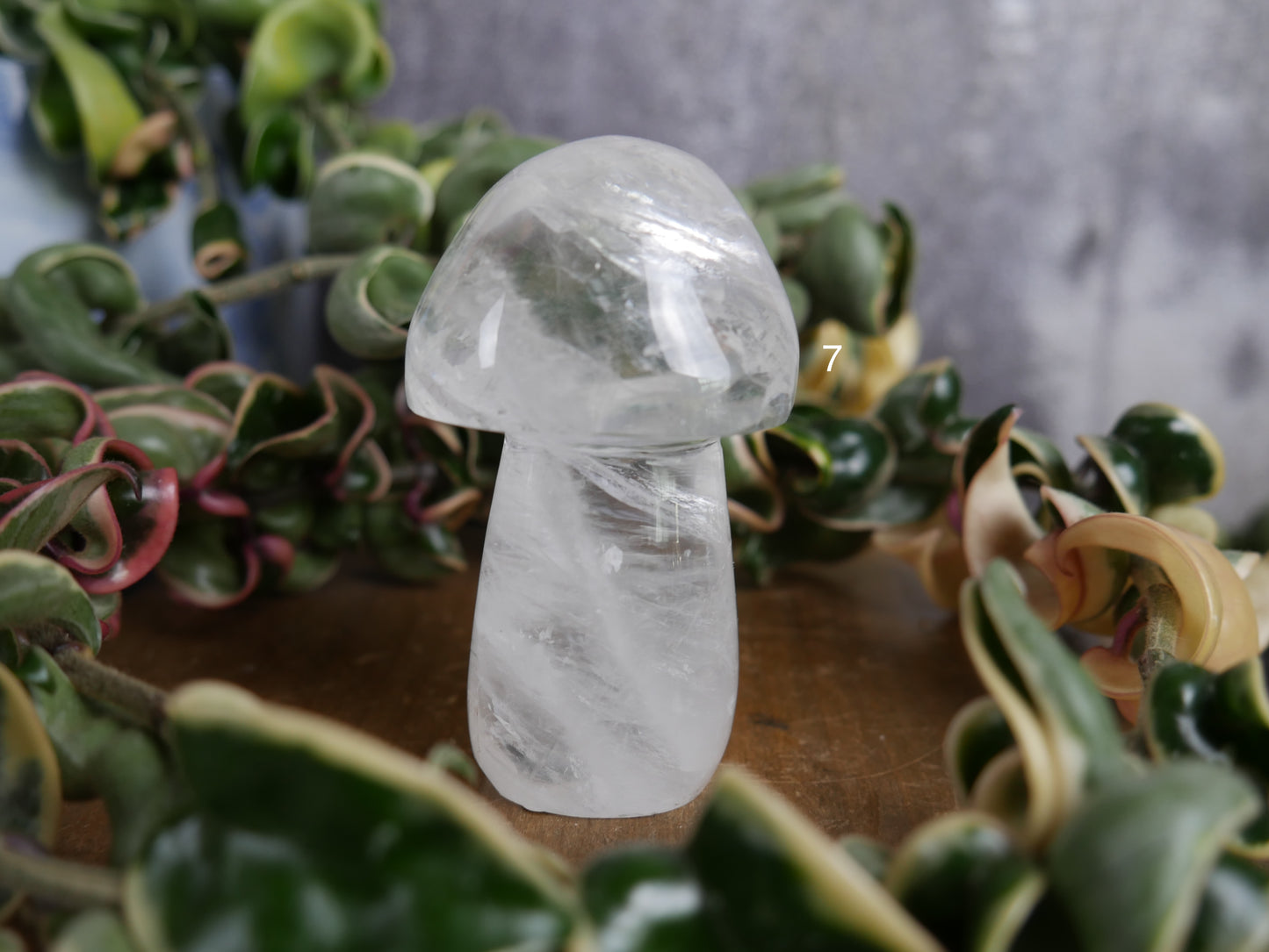 Brazilian Clear Quartz Mushroom [various]