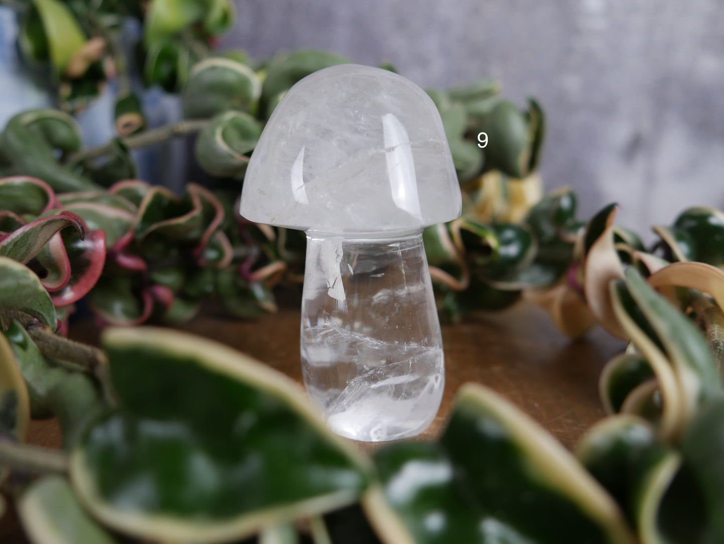 Brazilian Clear Quartz Mushroom [various]