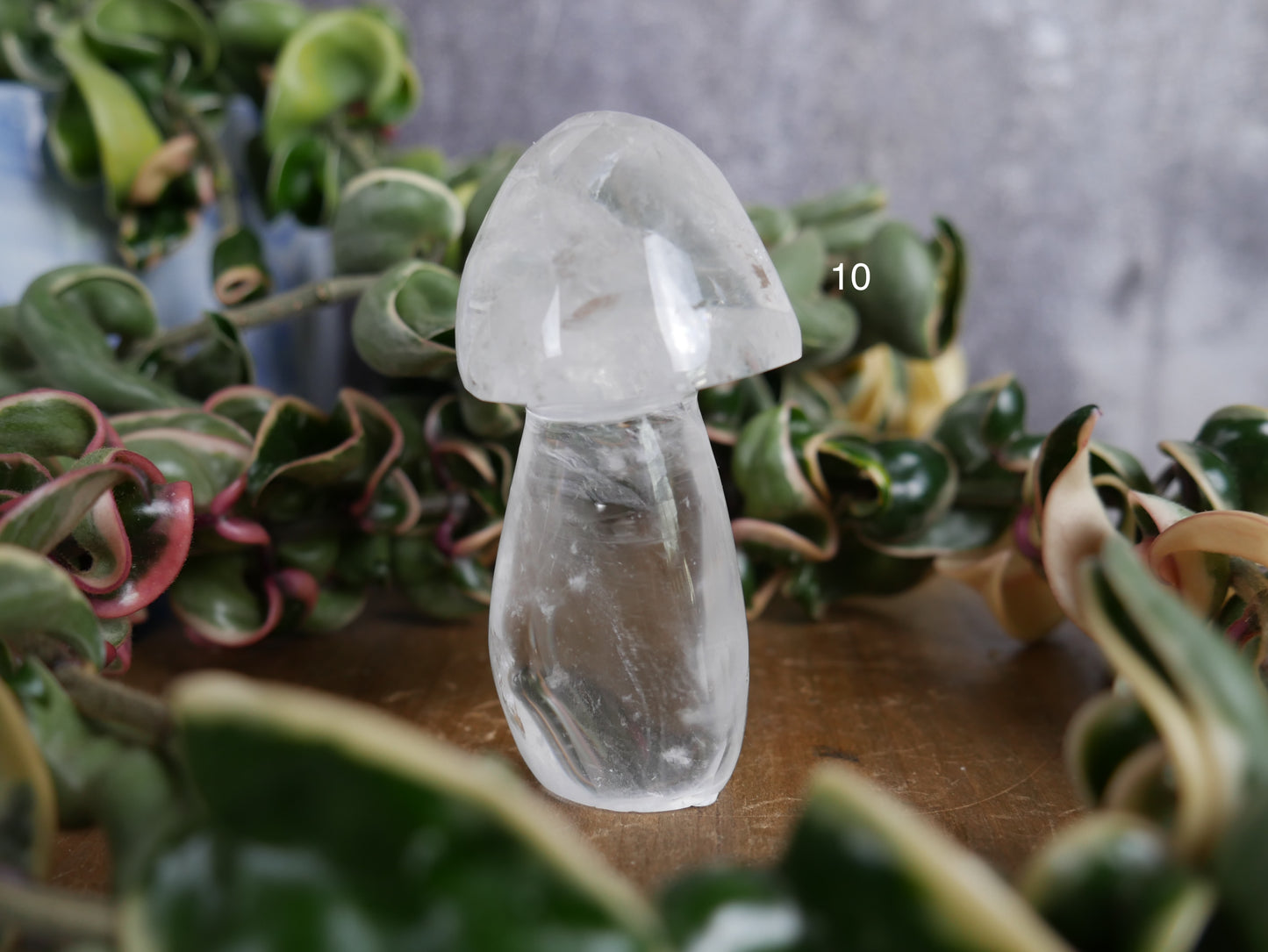 Brazilian Clear Quartz Mushroom [various]