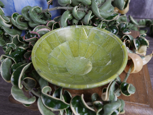 Serpentine Bowl [large]