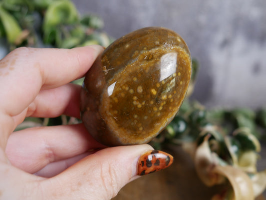 Ocean Jasper Palm Stone